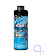 Microbe-Lift Phos-Out 4 - 473 ml