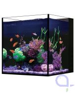 Red Sea Desktop Cube Aquarium