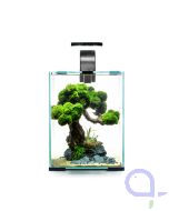 Aquael Shrimp Set Day & Night - 20L -schwarz