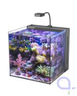 Aqua Medic Yasha 60 Beispiel