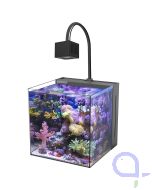 Aqua Medic Yasha plus 60 mit Qube 60 LED