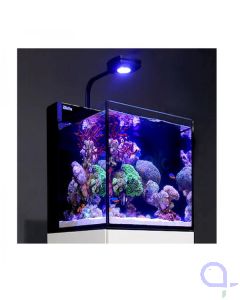 Red Sea Max Nano Meerwasseraquarium Komplettset ohne Schrank inkl. Versand