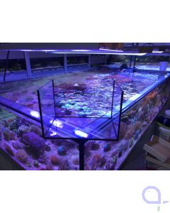 Quarantänebecken - Aquarium 60 Liter LED komplett