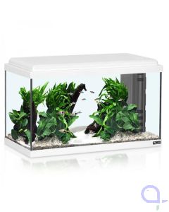 Aquatlantis Aquarium Advance LED 60 - 60 Liter weiß