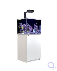 Red Sea Reefer 170 G2+ Deluxe weiß - 1x ReefLed 90