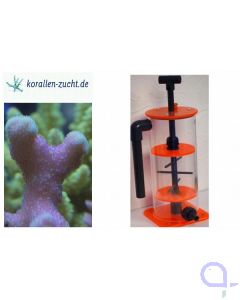 Korallenzucht Easy Lift Magnetic S ZEOvit-filter
