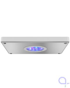 Aqamai LRs 50 Watt LED weiß