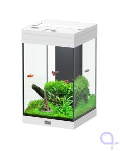 Aquarium Aquatlantis 80l in 6426 Roppen für 270,00 € zum Verkauf