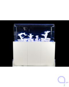 AquaPerfekt Reeftank 216L