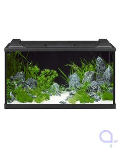 Eheim aquapro126 LED Aquarium Komplettset in schwarz