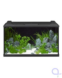 Eheim aquapro84 LED Aquarium Komplettset in schwarz