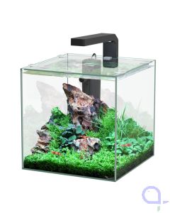 Aquatlantis Kubus 10 L LED Aquarienset