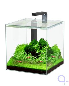 Aquatlantis Kubus 22 L LED Aquarienset