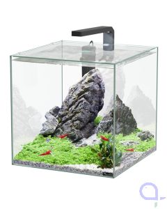 Aquatlantis Kubus 33 L LED Aquarienset