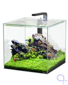 Aquatlantis Kubus 54 L LED Aquarienset