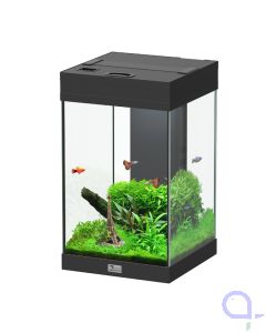 Aquatlantis Aqua Tower 43 Schwarz Aquarium