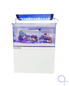 Red Sea Desktop Cube Aquarium - Ohne Unterschrank aquaPro2000