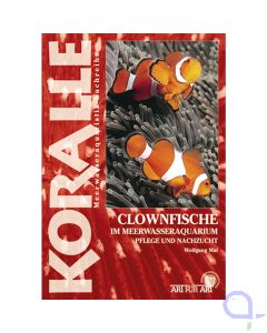 KORALLE Clownfische im Meerwasseraquarium