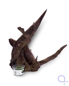 Corbo Root 3 - Hartholz Wurzel 