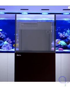 Red Sea Desktop Cube Aquarium - mit Unterschrank schwarz