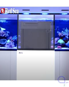 Red Sea Desktop Cube Aquarium - mit Unterschrank weiss