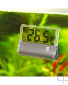 JBL Aquarium Thermometer DigiScan Ansicht im Aquarium