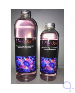 QFI DinoXal Algenbekämpfungsmittel 500 ml