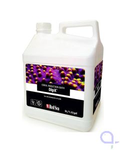 red sea dipx 5 L Kanister
