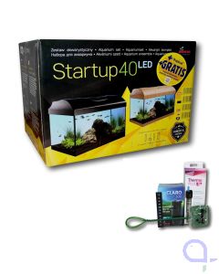 Diversa Start Up 40 LED mit Zubehör