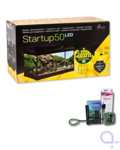 Diversa Start Up 50 LED mit Zubehör