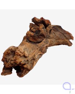 Flußwurzel - wysiwyg - 017