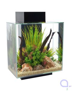 Fluval Edge 2.0 schwarz 46 Liter