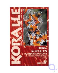 KORALLE Hornkorallen im Meerwasser-Aquarium