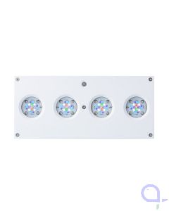 AI Hydra HD 64 LED