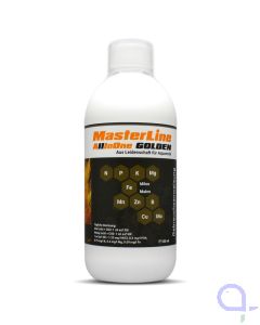 MasterLine All-In-One-Golden 500 ml