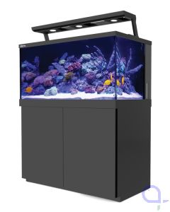 Red Sea Max S 500 Schwarz