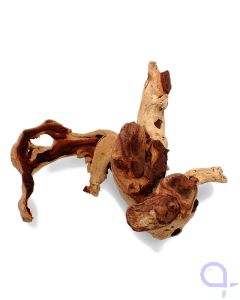 Mopani Wurzel 1 - Deko Wurzel - Wysiwyg