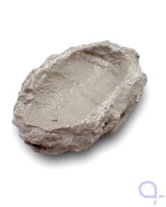 Bild 2 Muschelhalter Riffkeramik Korallenwelt 