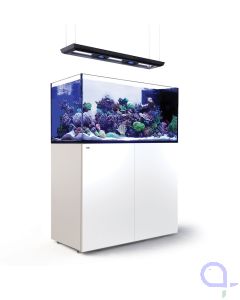 Red Sea Reefer Peninsula G2+ 500 Deluxe weiß - 2 x ReefLed 160S