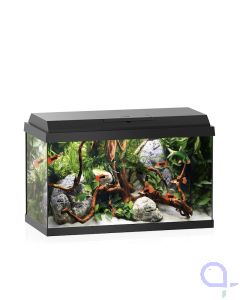 Juwel Primo 70 LED Aquarium Set schwarz