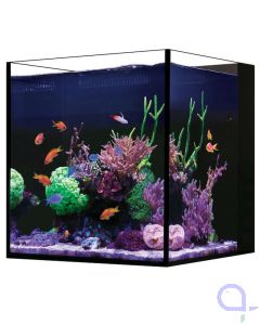 Red Sea Desktop Cube Aquarium