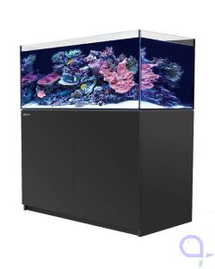 Red Sea Reefer 425 G2+