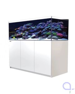 Red Sea Reefer XL 525 - Weiß