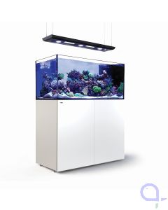 Red Sea Reefer Peninsula G2+ 500 Deluxe weiß - 3 x ReefLed 90