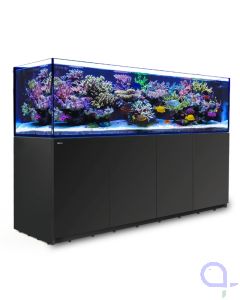 Red Sea Reefer 900 G2+ schwarz