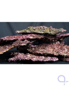 Real Reef Rock - Shelf Rock Platten