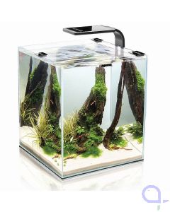 Aquael Shrimp Set Smart 2 - 30L Nano Aquarium Cube für Garnelen