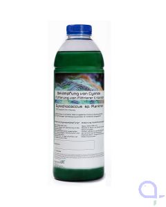 Synechococcus Sp. gegen Cyanobeläge 1 Liter