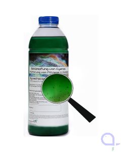 Plankton24 Synechococcus sp. mit Zooplankton / Cyanobekämpfung 1 Liter
