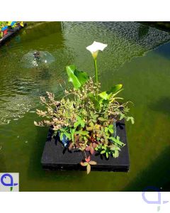schwimmende Pflanzinsel mit Pflanzen